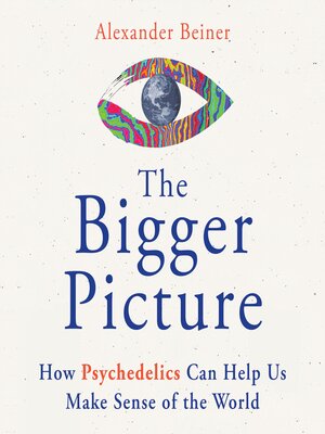 cover image of The Bigger Picture